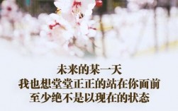 励志句子软件下载（励志句子软件用哪个好）