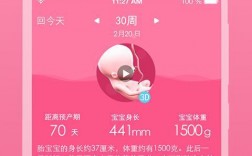 怀孕了应该下载什么软件（孕妇怀孕了应该下载什么软件）