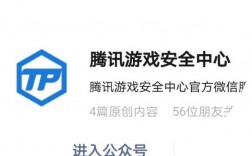 腾讯游戏安全中心app下载电脑版（腾讯游戏安全中心app叫什么）