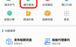 船舶动态查询软件下载（船舶动态网查询）