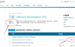 vmware软件下载（vmware10下载）