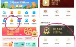 随心开app怎么下载（随心选会员怎么开通）