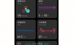 心跳app官方下载（心率app下载安装）