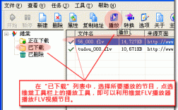 flv下载软件，flv 下载