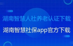 智慧人社app下载，智慧人社app下载湖南的