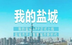 大盐城论坛app下载（大盐城论坛app下载官网）