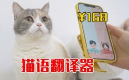 猫说app下载（翻译猫说）