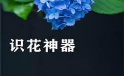 识花君软件下载安装（识花君下载官网免费下载）