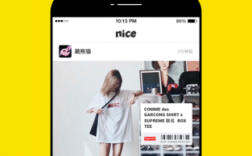 niceapp下载（nice app下载）