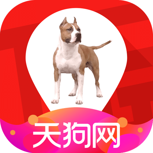 免费下载天狗app（天狗网246）