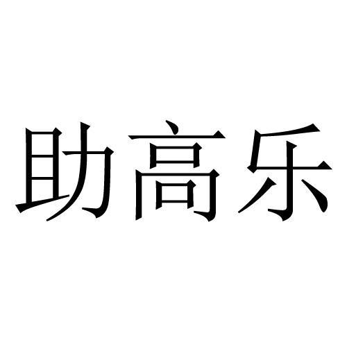 助高软件下载（助高科技有限公司）