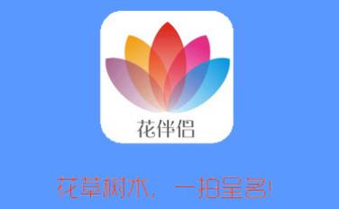 下载花伴侣的软件（花伴侣收费吗）