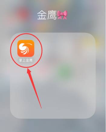 掌上金鹰app下载（掌上金鹰app下载安装）