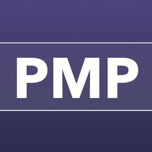 pmpapp下载（pmdg下载）