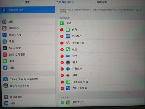 禁止ipad下载软件（ipad禁止下载设置方法）