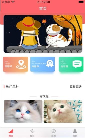 软件猫咪下载（软件猫咪下载安装）