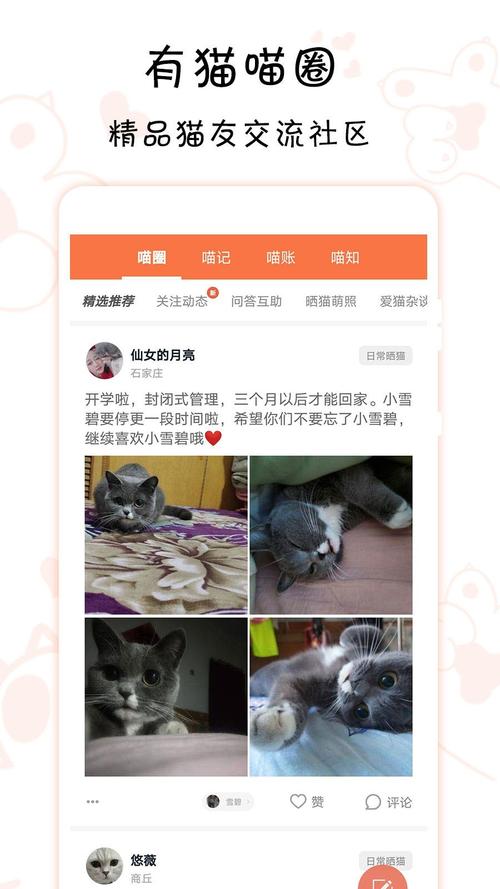 科猫app下载安装（猫 科技）