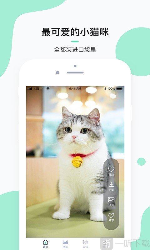 科猫app下载安装（猫 科技）