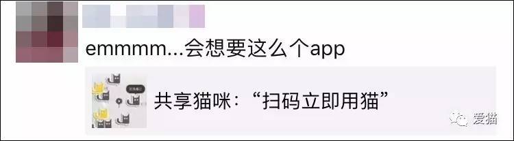 猫咪app最新下载地址（B体育app最新下载地址）