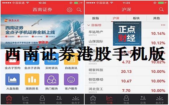 西南证券下载软件（西南证券的app是什么）