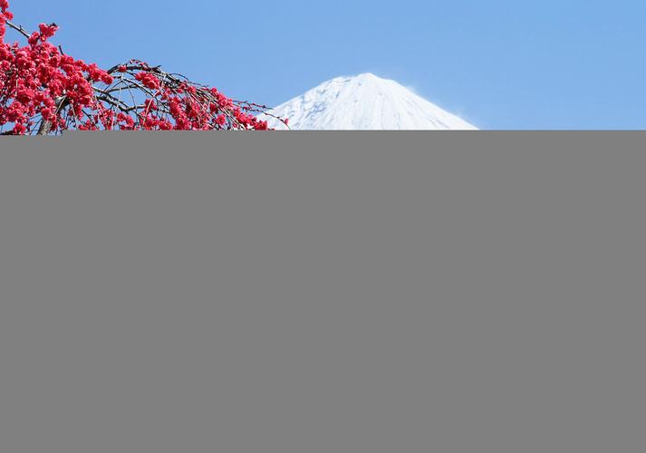 富士山软件下载（富士山 下载）