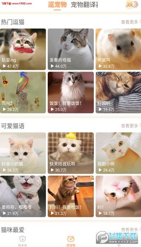 猫友app下载（猫友科技）