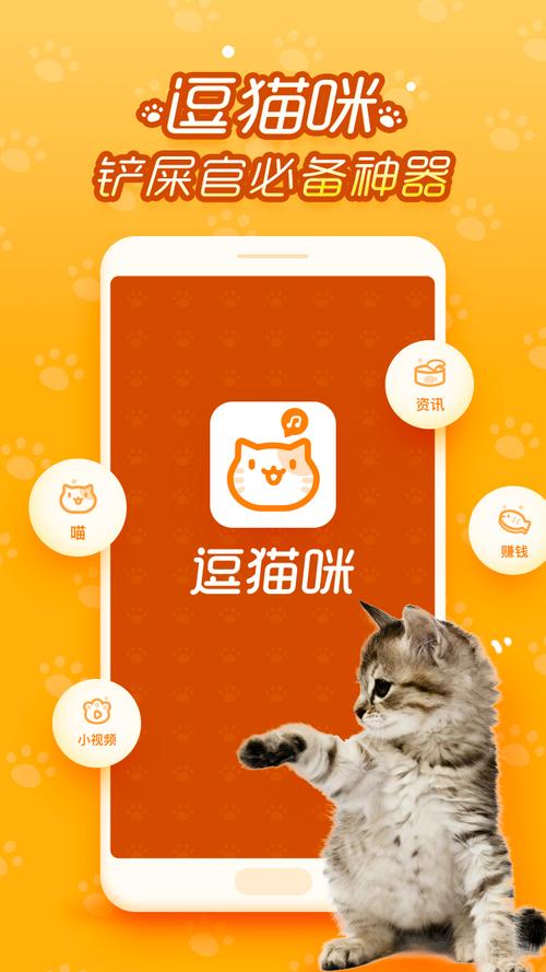 逗猫猫APP下载（逗猫app有哪些）