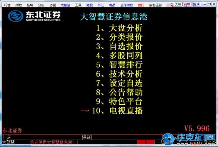 东北证券大智慧软件下载（东北证券大智慧免费下载）