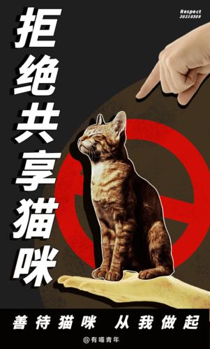 共享猫咪app下载（共享猫咪 知乎）