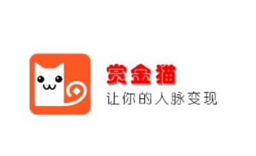 猫的app下载（赏金猫app下载）