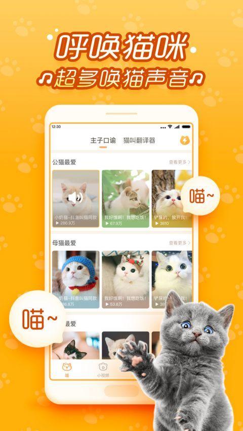 和小猫app软件下载（和小猫玩）