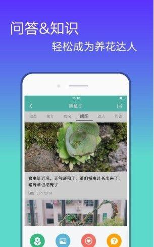 花信app下载（花信下载链接）