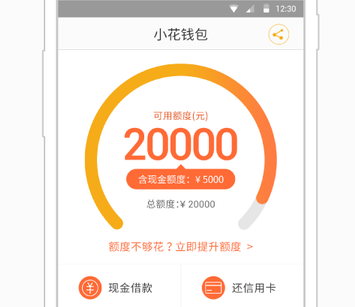 小花钱包下载app（小花钱包下载APP）