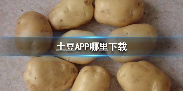 怎么下载土豆app（怎么下载土豆app下载）