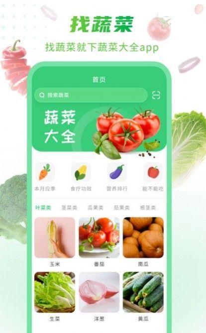 食菜app下载（食菜生肖是什么生肖）