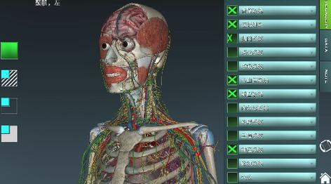 学解剖的软件下载（学解剖的软件下载大全）