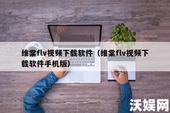 棠flv视频下载软件的简单介绍