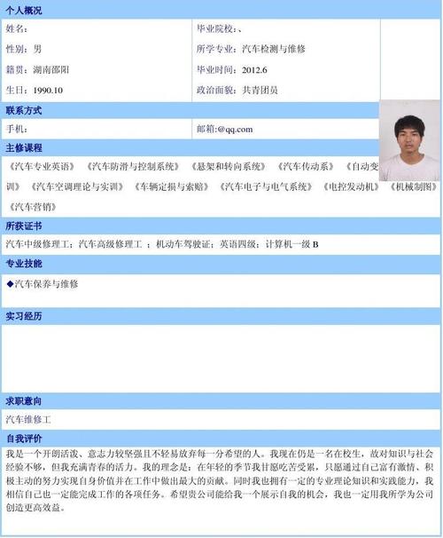 汽车简历app下载（汽车简历查询官网）