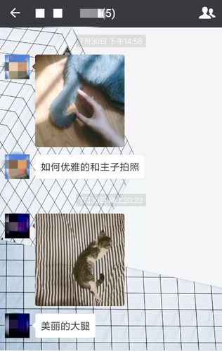 猫咪app下载（黄金网站软件app大全下载）