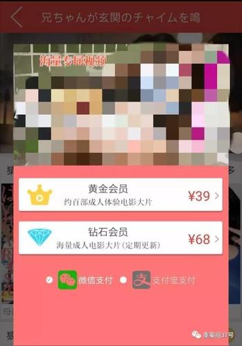 猫咪app下载（黄金网站软件app大全下载）