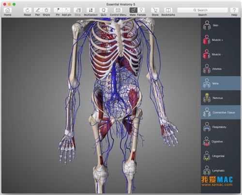 3d人体解剖软件下载（3d人体解剖学教学软件）