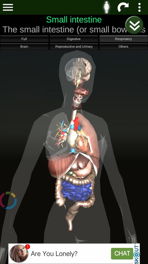 3d人体解剖软件下载（3d人体解剖学教学软件）