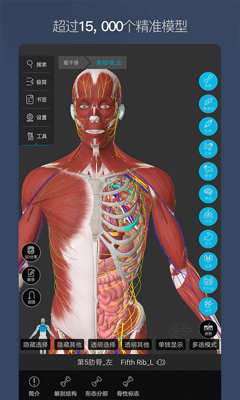 3d人体解剖软件下载（3d人体解剖学教学软件）