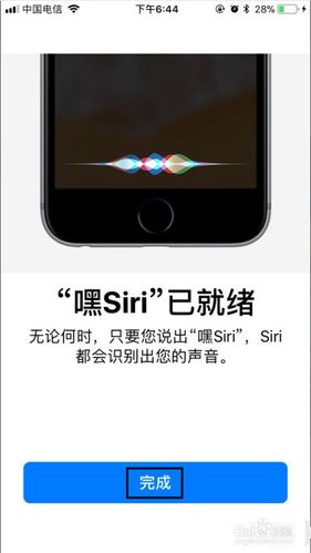 嘿siri软件下载（免费下载嘿siri）