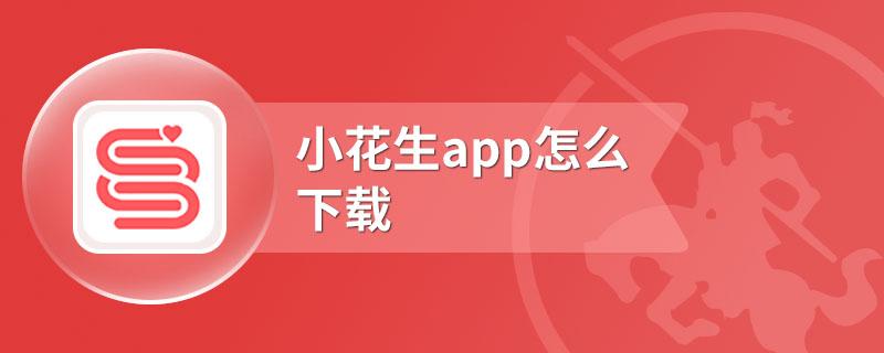 小花生app下载（小花生下载安装）