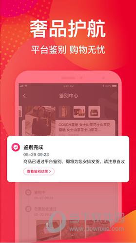 洋码头app下载（洋码头网址官方大全）