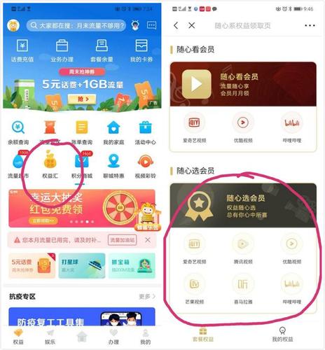 随心开app怎么下载（随心选会员怎么开通）