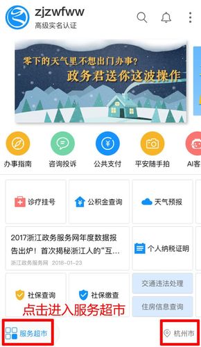 浙江政务服务app下载（浙江政务服务网下载安装）