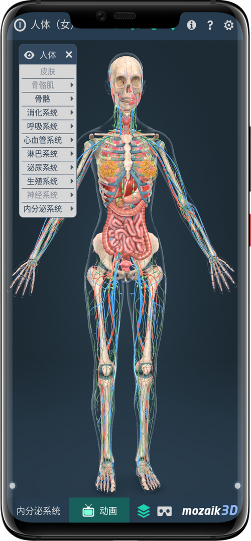 3d解剖软件下载（3d解剖下载安装）