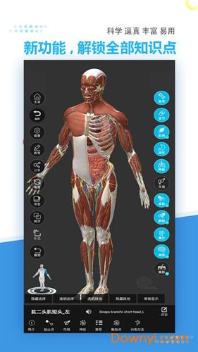 3d解剖软件下载（3d解剖下载安装）